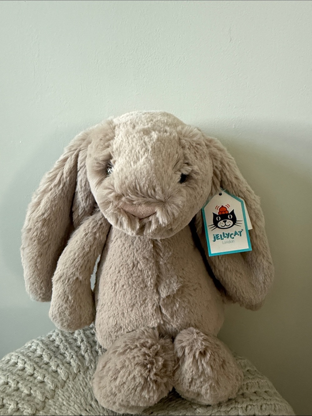 Classic Jellycat Bunny